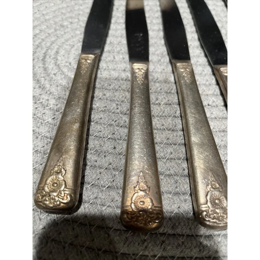 Wm Rogers  5 pc Knife Set Silverplate Vintage Spring Charm Flatware Patina